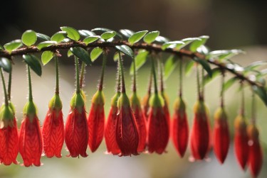 惠州惠阳区7私人快速借钱网，轻松解决资金难题