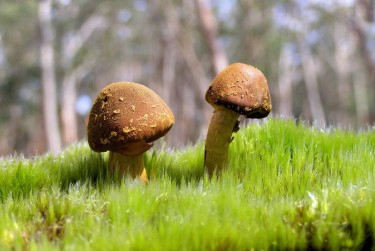 惠州惠阳区7私人老板放款：轻松融资的秘密通道